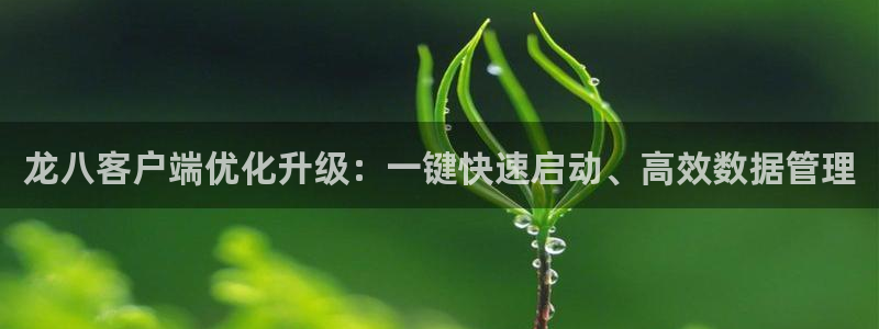 星耀国际平台官方网站：龙八客户端优化升级：一键快速启动、高效数据管理