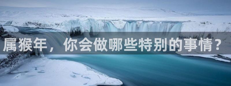 星耀国际网站平台登录：属猴年，你会做哪些特别的事情？