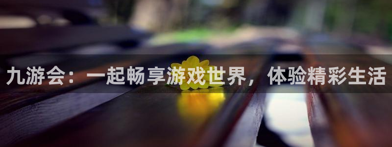 星耀国际路线1：九游会：一起畅享游戏世界，体验精彩生活