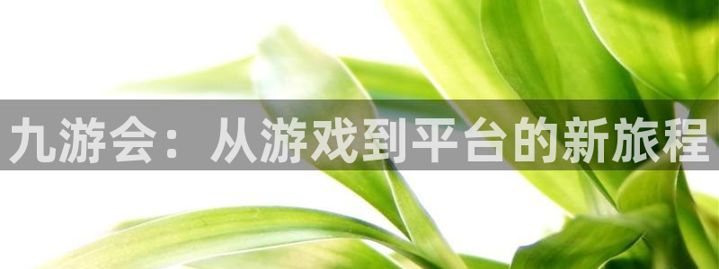 壹号app官网：九游会：从游戏到平台的新旅程