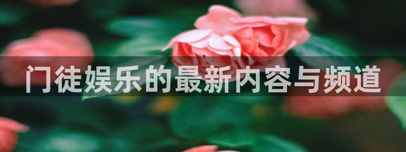 星耀国际：门徒娱乐的最新内容与频道