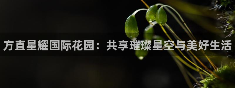 壹号top娱乐：方直星耀国际花园：共享璀璨星空与美好生活