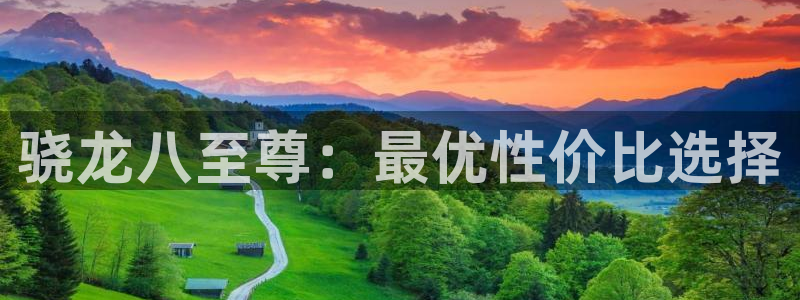 星耀国际放水时间：骁龙八至尊：最优性价比选择