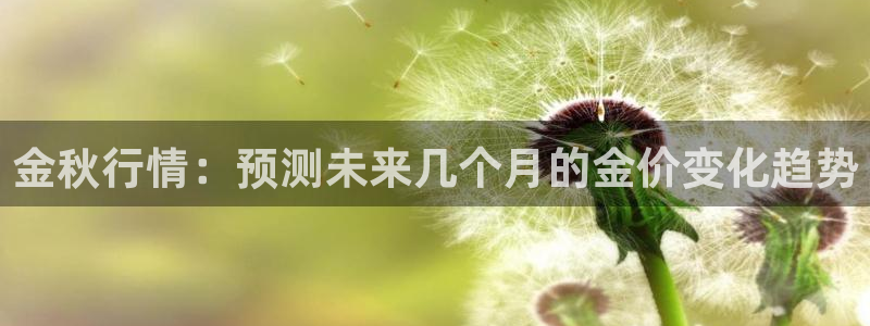 星耀国际官网：金秋行情：预测未来几个月的金价变化趋势