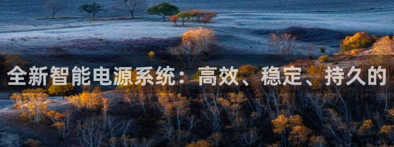 壹号玩家app下载：全新智能电源系统：高效、稳定、持久的
