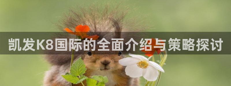 壹号大舞台官网入口：凯发K8国际的全面介绍与策略探讨