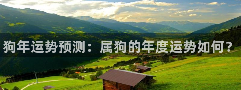 星耀国际官网版下载链接：狗年运势预测：属狗的年度运势如何？