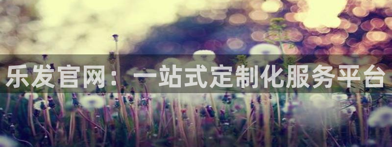 壹号大舞台网站：乐发官网：一站式定制化服务平台