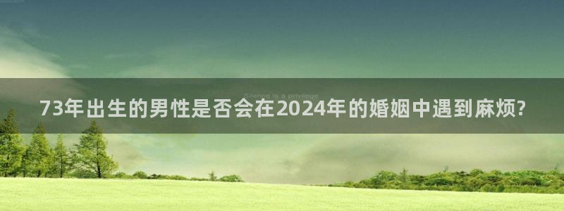 星耀国际.ccm：73年出生的男性是否会在2024年的婚姻中遇到麻烦?