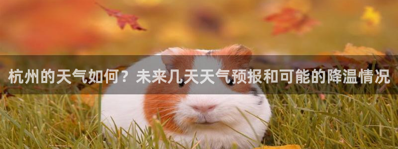壹号平台下载：杭州的天气如何？未来几天天气预报和可能的降温情况