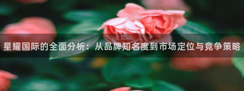 壹号app官网版下载：星耀国际的全面分析：从品牌知名度到市场定位与竞争策略