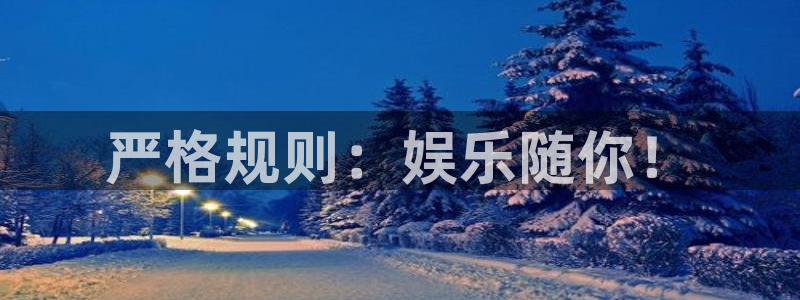 南宫星耀国际官网版：严格规则：娱乐随你！