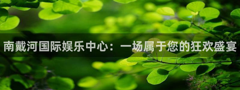 星耀国际：南戴河国际娱乐中心：一场属于您的狂欢盛宴