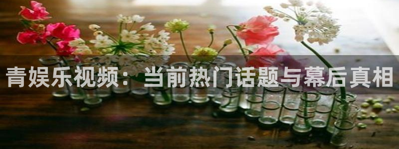 星耀国际官网：青娱乐视频：当前热门话题与幕后真相