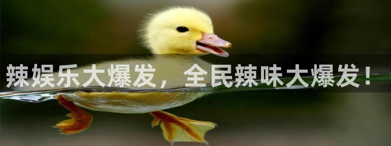 壹号电子娱乐app下载：辣娱乐大爆发，全民辣味大爆发！