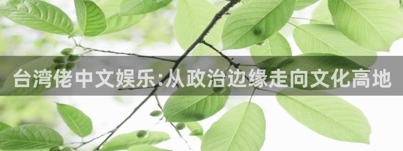 壹号国际app免费下载安装：台湾佬中文娱乐:从政治边缘走向文化高地