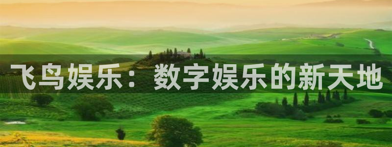 星耀国际.ccm：飞鸟娱乐：数字娱乐的新天地