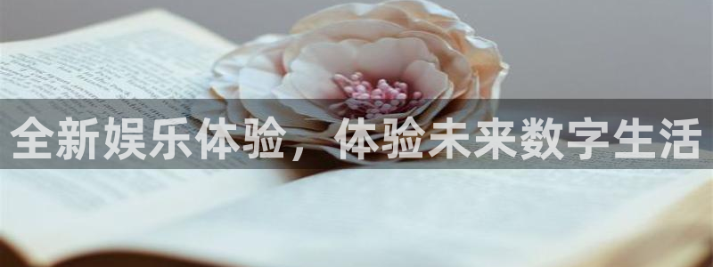 星耀国际平台官网版最新：全新娱乐体验，体验未来数字生活