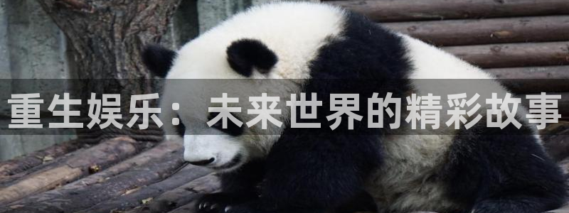 星耀国际哪个游戏好爆：重生娱乐：未来世界的精彩故事