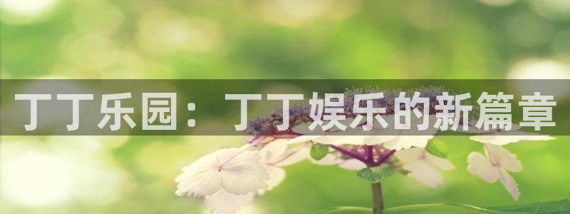 下载星耀国际：丁丁乐园：丁丁娱乐的新篇章