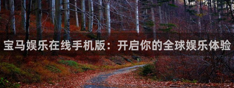 星耀国际quan28.cc：宝马娱乐在线手机版：开启你的全球娱乐体验