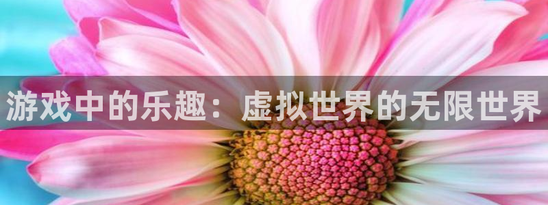 星耀国际网站：游戏中的乐趣：虚拟世界的无限世界