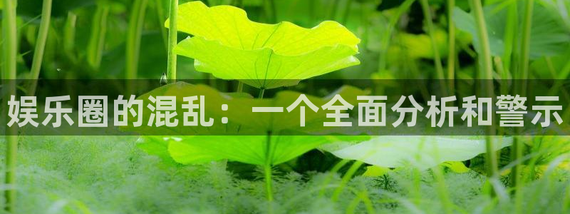 星耀国际.ccmpc29官网版下载：娱乐圈的混乱：一个全面分析和警示