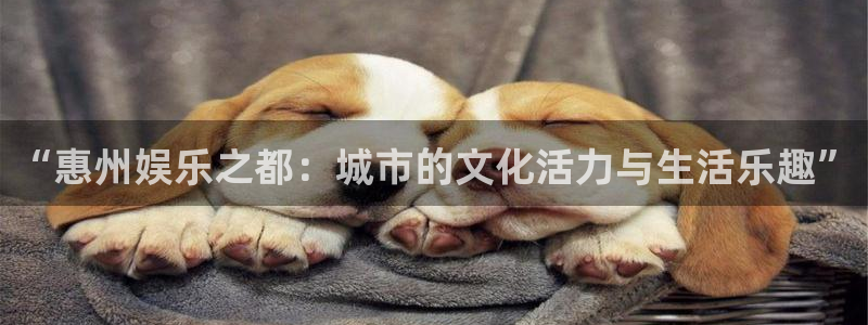 星耀国际官网：“惠州娱乐之都：城市的文化活力与生活乐趣”