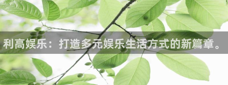 星耀国际官方网站下载：利高娱乐：打造多元娱乐生活方式的新篇章。