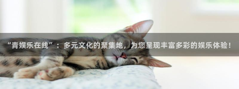 壹号app官方登录入口下载：“青娱乐在线”：多元文化的聚集地，为您呈现丰富多彩的娱乐体验！
