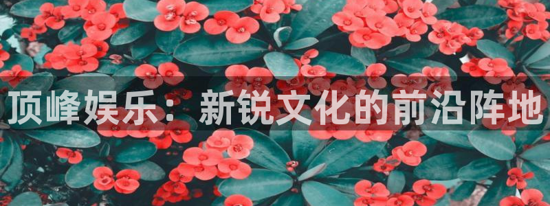 壹号大舞台怎么注册：顶峰娱乐：新锐文化的前沿阵地