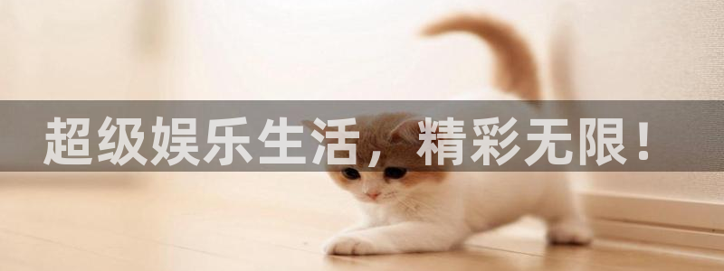 星耀国际ccmpc：超级娱乐生活，精彩无限！