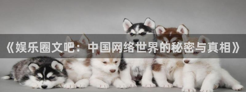 壹号大舞台娱乐传媒：《娱乐圈文吧：中国网络世界的秘密与真相》