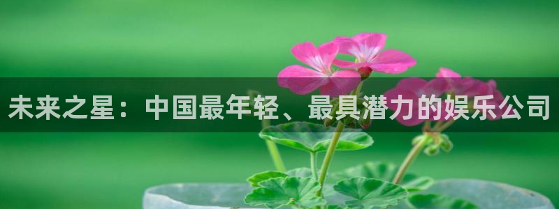 星耀国际-ng大舞台,有梦你就来：未来之星：中国最年轻、最具潜力的娱乐公司