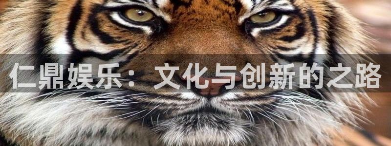 星耀国际加拿大：仁鼎娱乐：文化与创新的之路